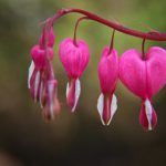 国内交换俱乐部普通话视频 0yk7w