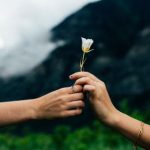 深夜求网站2019 25mfpw0x