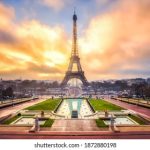 快穿之娇花难养豆浆全文 cmenqe8899