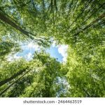 国内明星ai造梦网页 hpp59