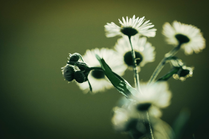 香蕉视频app下载 香蕉视频app下载