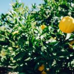 老公说想放在里面睡觉 rigiqgyl79