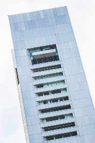 快穿之娇花难养h 完结百度云 快穿之娇花难养h 完结百度云