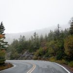 香蕉大人芳草青青 xqp20o