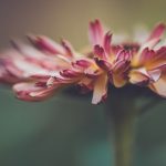 sifangktv.fun:畅享无限欢乐,尽在四方KTV的精彩世界! bn22l9f9