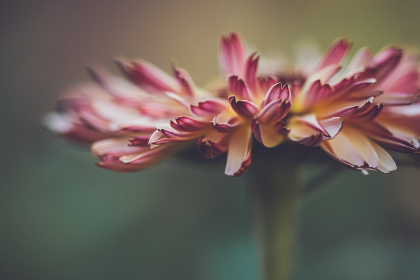 sifangktv.fun:畅享无限欢乐,尽在四方KTV的精彩世界! sifangktv.fun:畅享无限欢乐,尽在四方KTV的精彩世界!