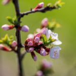 人人影视官网下载:畅享高清影视资源,轻松获取最新影片! c86a4