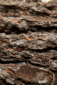 人人影视网盘:畅享海量影视资源的最佳选择 人人影视网盘:畅享海量影视资源的最佳选择