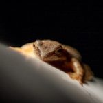 人人影视官网:畅享海量影视资源的最佳平台 h2l2uxb